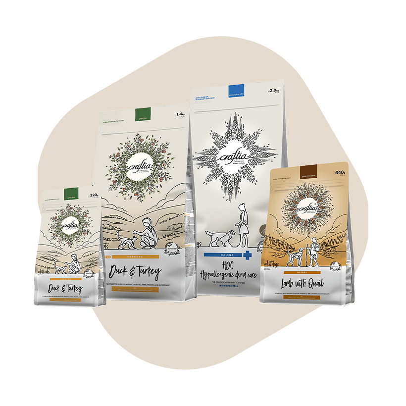 Рекомендуй профессионально — выигрывай максимально