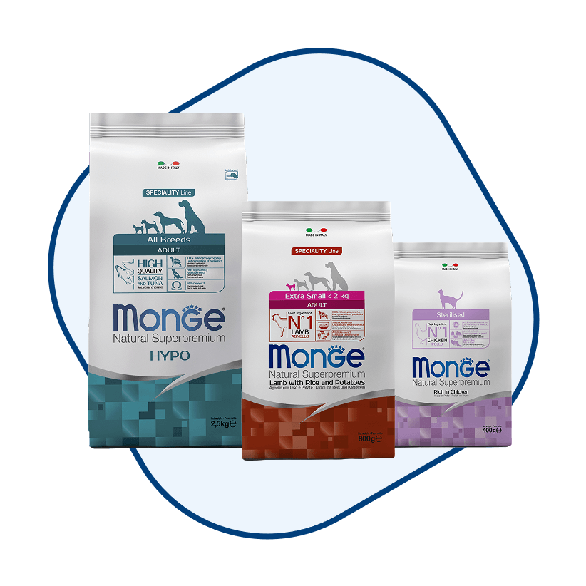 Рекомендуй профессионально — выигрывай максимально