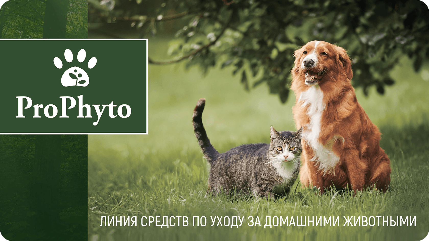Презентация по продукции бренда ProPhyto